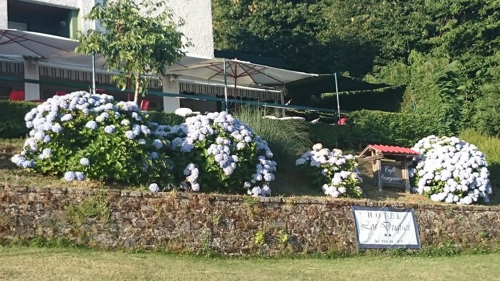 Hotel Los Duques Béjar Zewnętrze zdjęcie